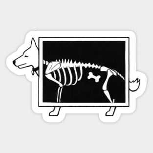 Dog X-ray Sticker